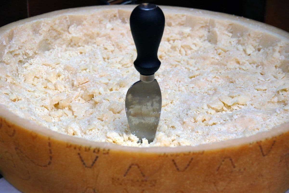 Fromage Parmigiano-Reggiano | Parmigiano-Reggiano Cheese