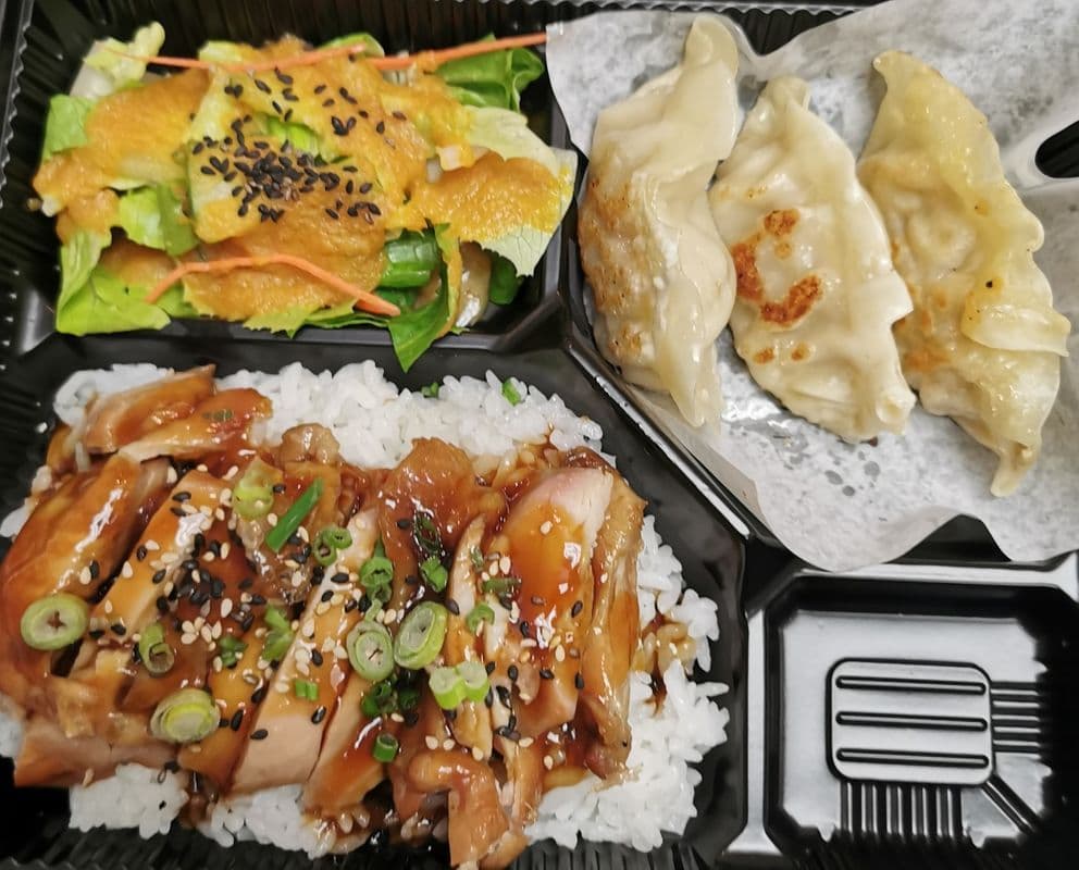 Gyoza Bento