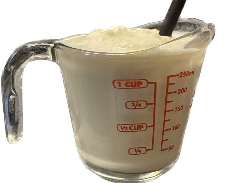 Cream-sicle Milkshake