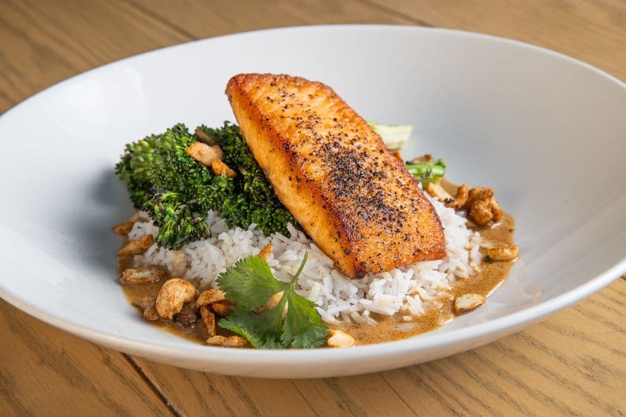 Salmon
