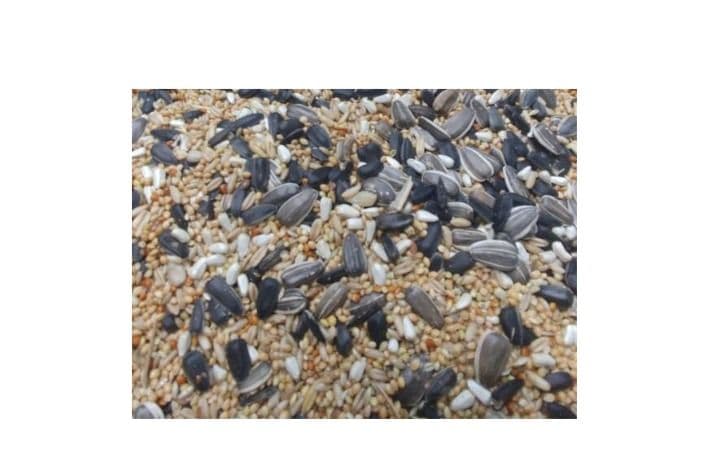 Baker's Cockatiel Seed (5 lb)