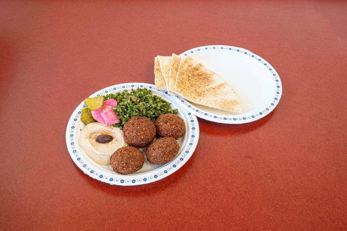 Falafel Plate