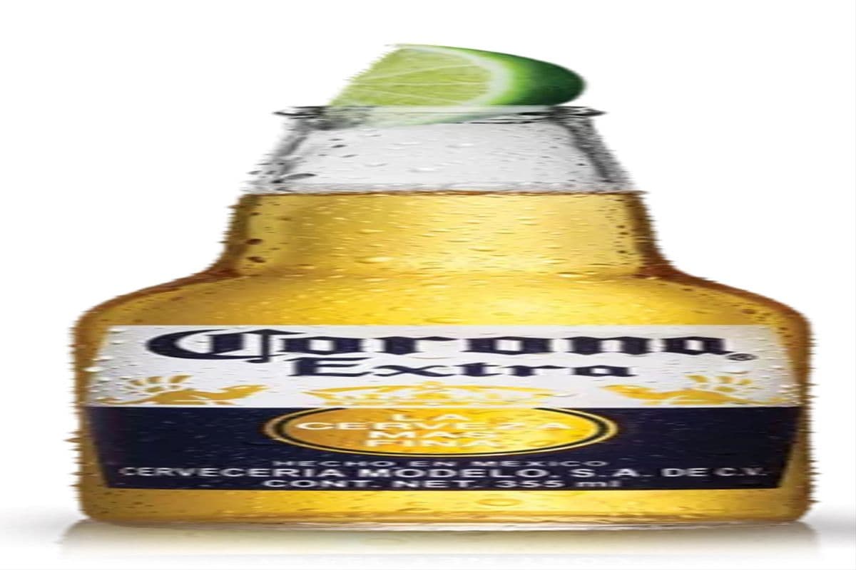 Corona Extra (330 ml Bottle) (1 x bottle)