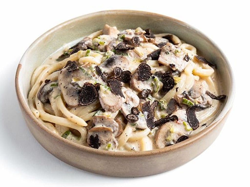 UDON NOODLES