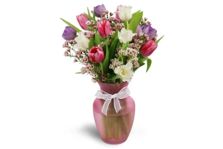 Home Sweet Spring - Fresh Colorful Tulips and Waxflower Deluxe