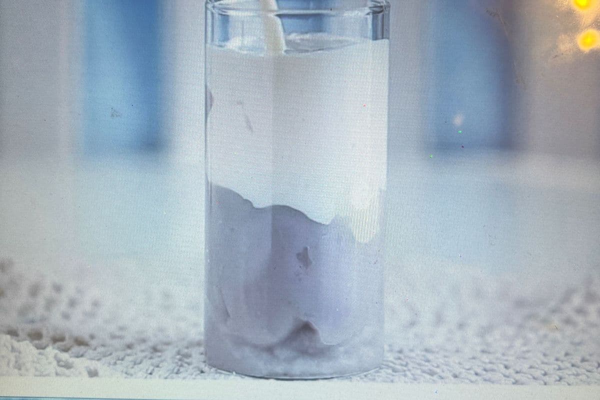 Taro Milk Cream 芋泥奶盖