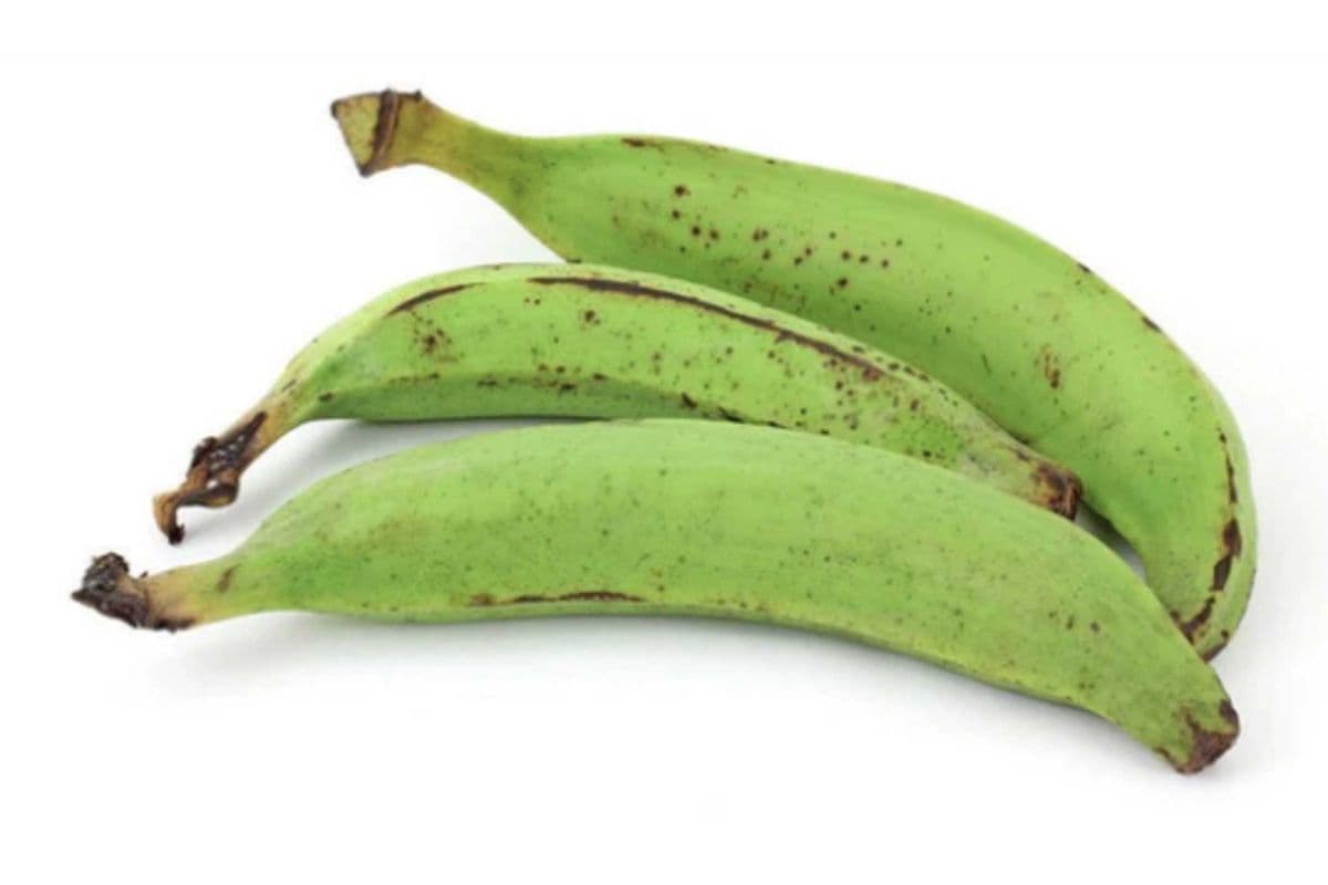 Banane plantain non mûre