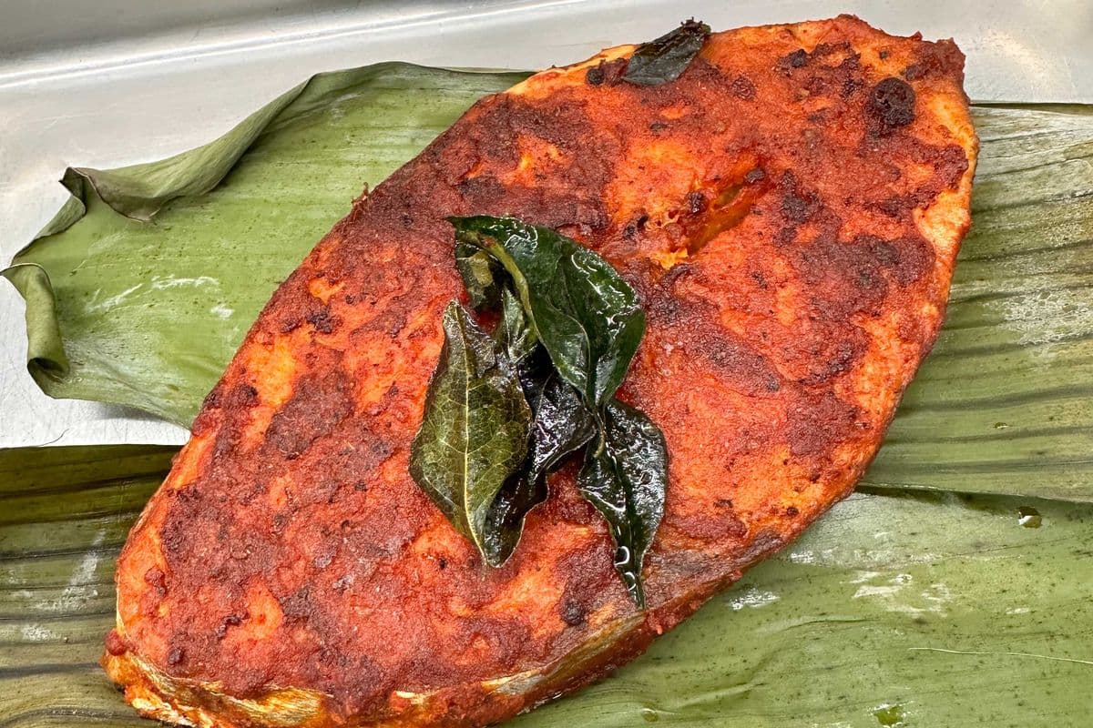 Kingfish Fry