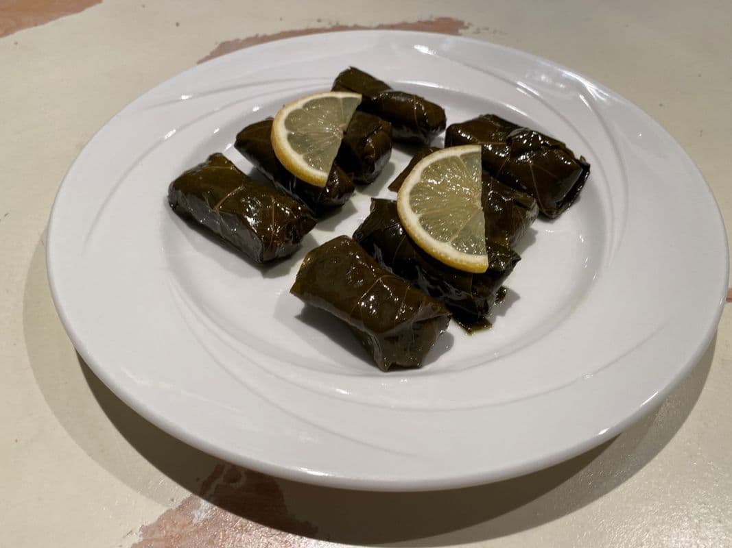 Dolmadakia | Stuffed Grape Leaves