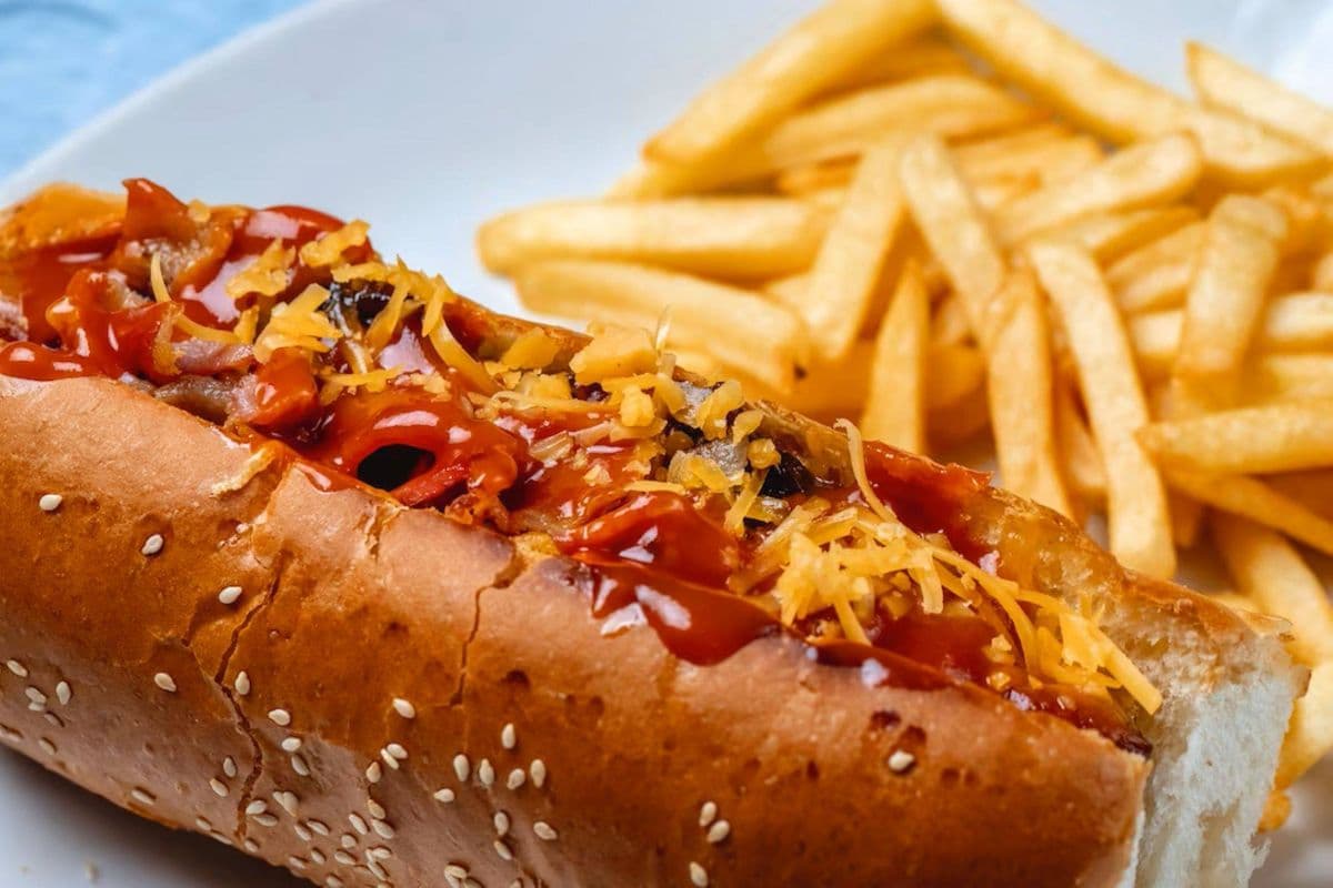 Hot Dog +Fries