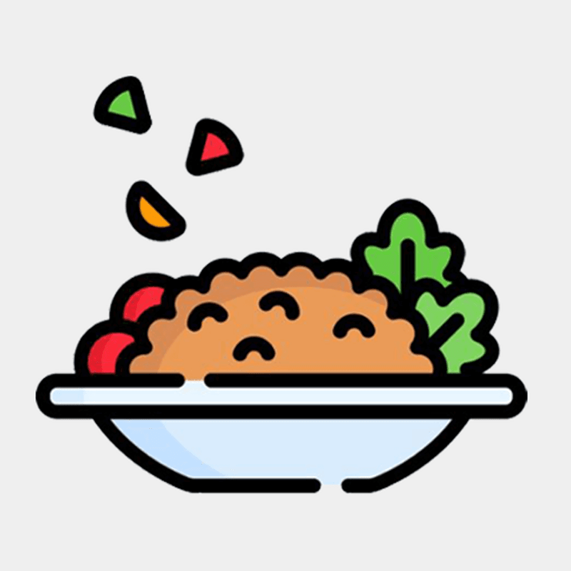 Rice Plate
