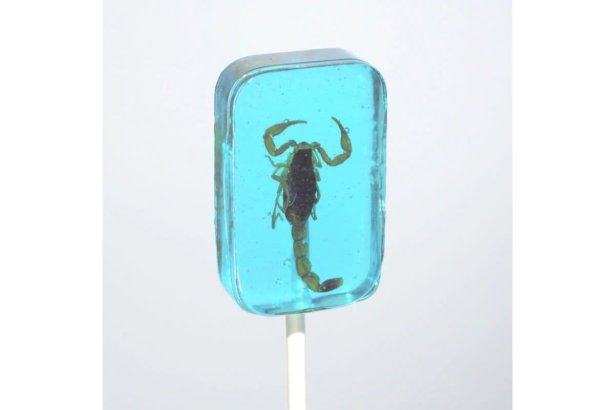 Scorpion Sucker Blueberry (31 g)