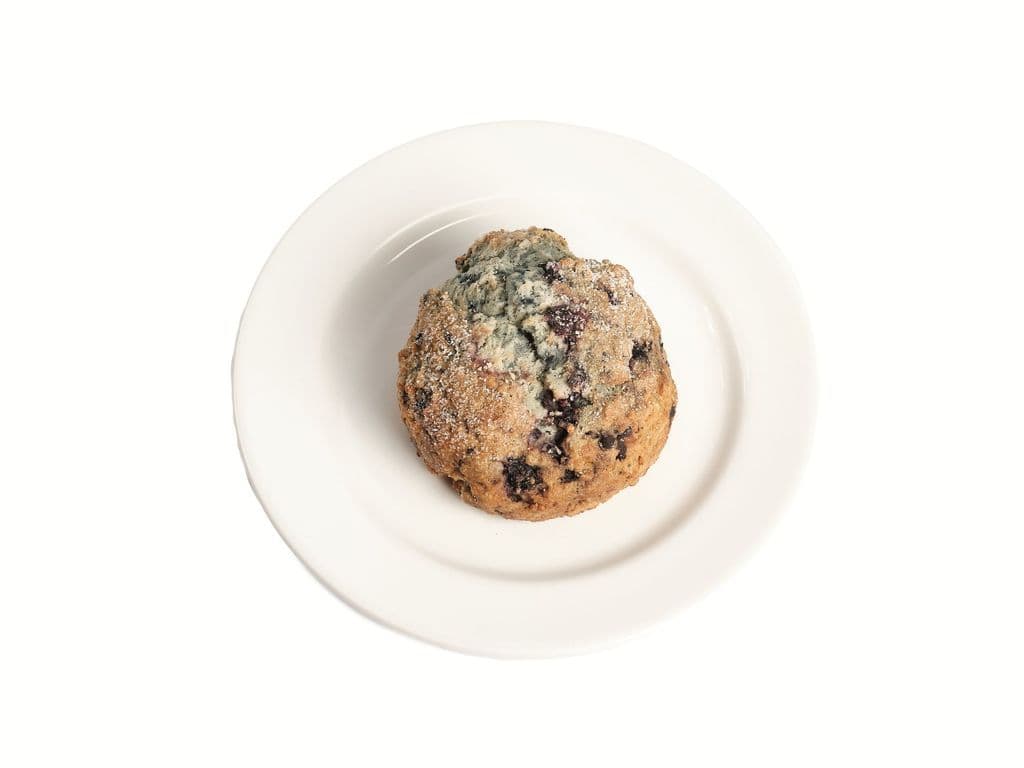 Blueberry Scone