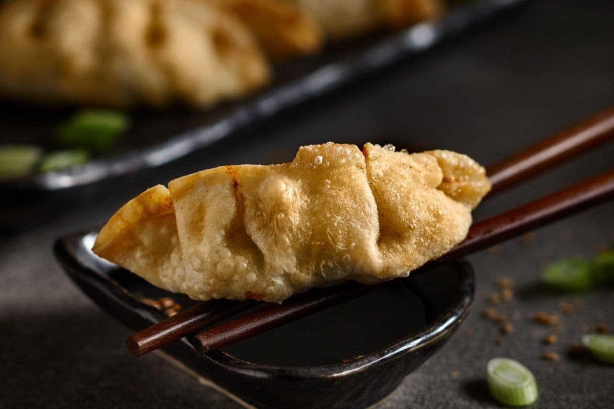 Dumplings au poulet (2) / Chicken Dumplings (2)