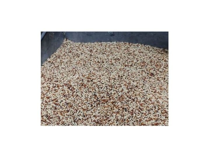Wild Bird Economy Seed (20 lb)