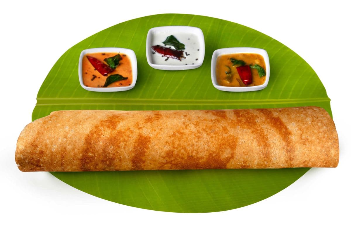 Plain Dosa