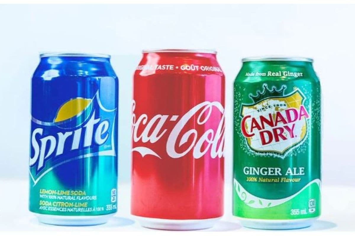 Coke Canned Pop (355ml) (355)