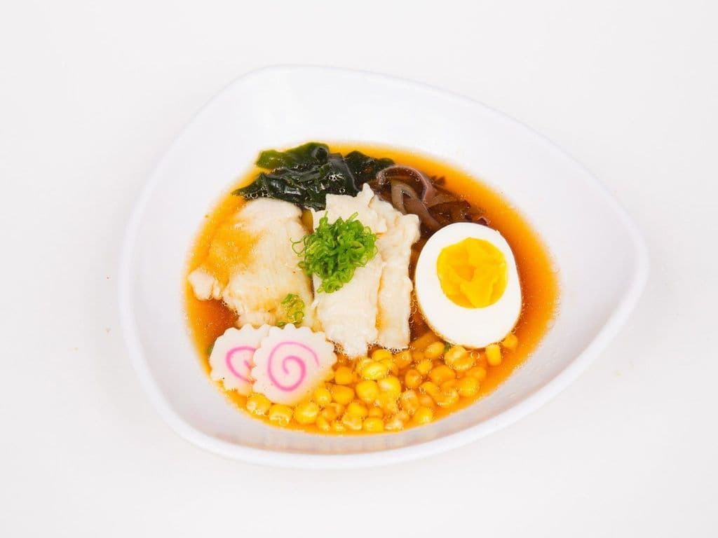 Chicken Udon in Soup-