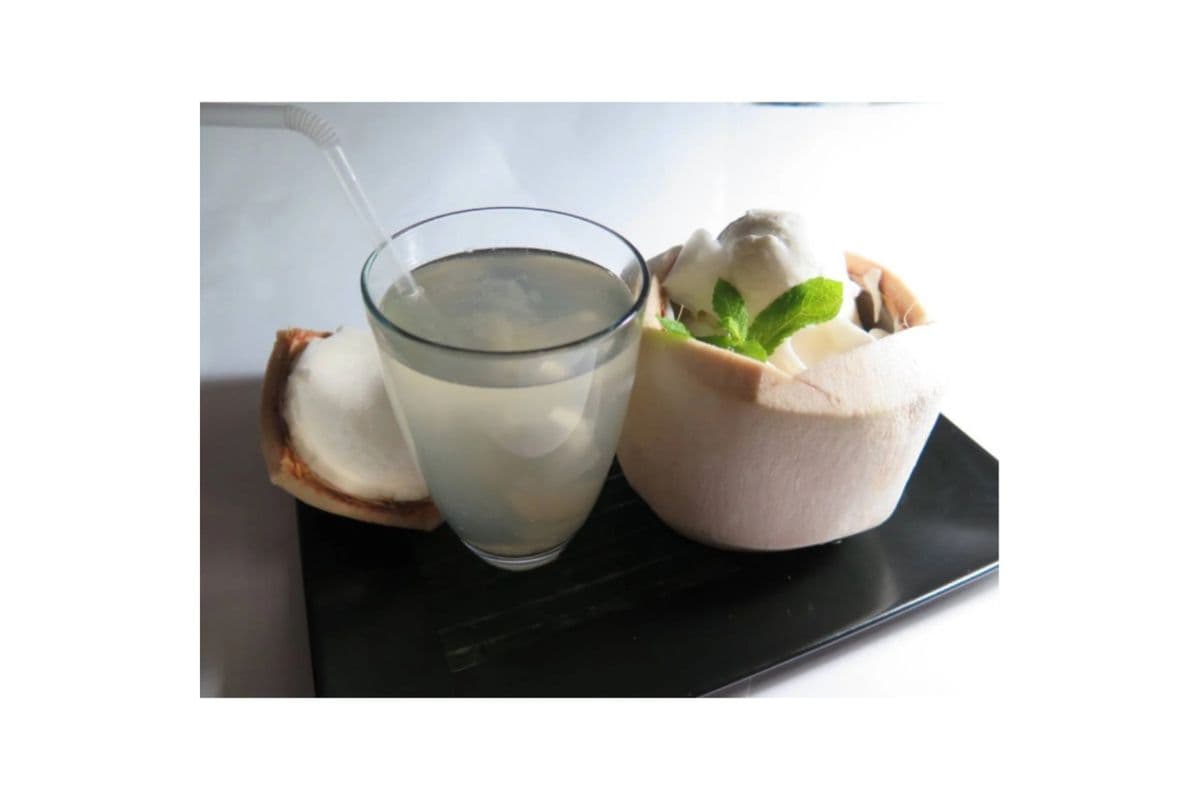 Coconut Lover