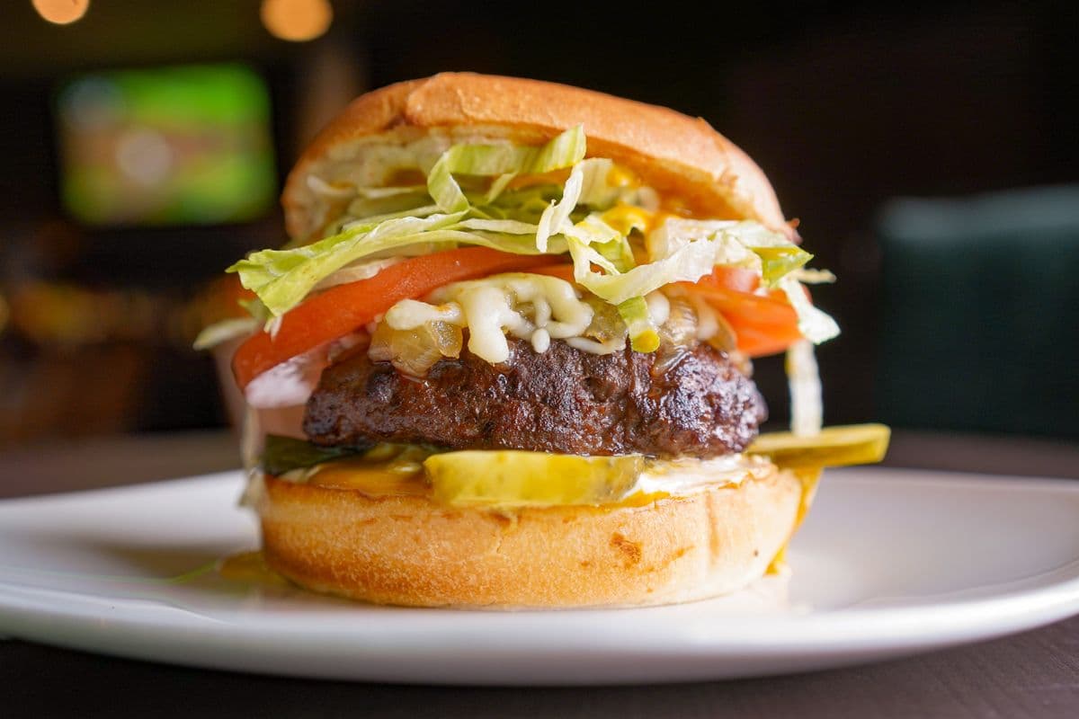 Bison Burger + Curly Fries