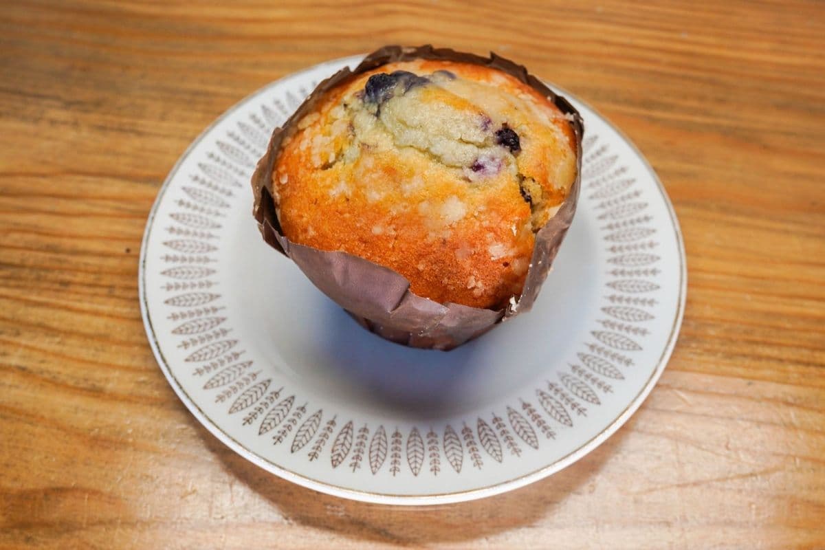 Blueberry Muffin
