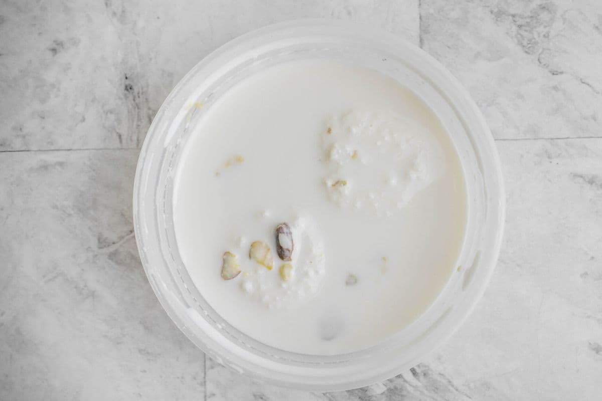 Rasmalai (2pcs)
