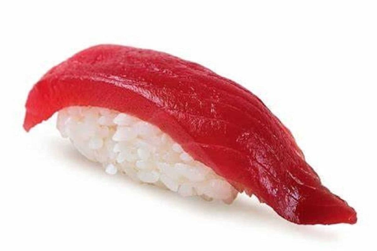 102. Maguro (Thon / Tuna)