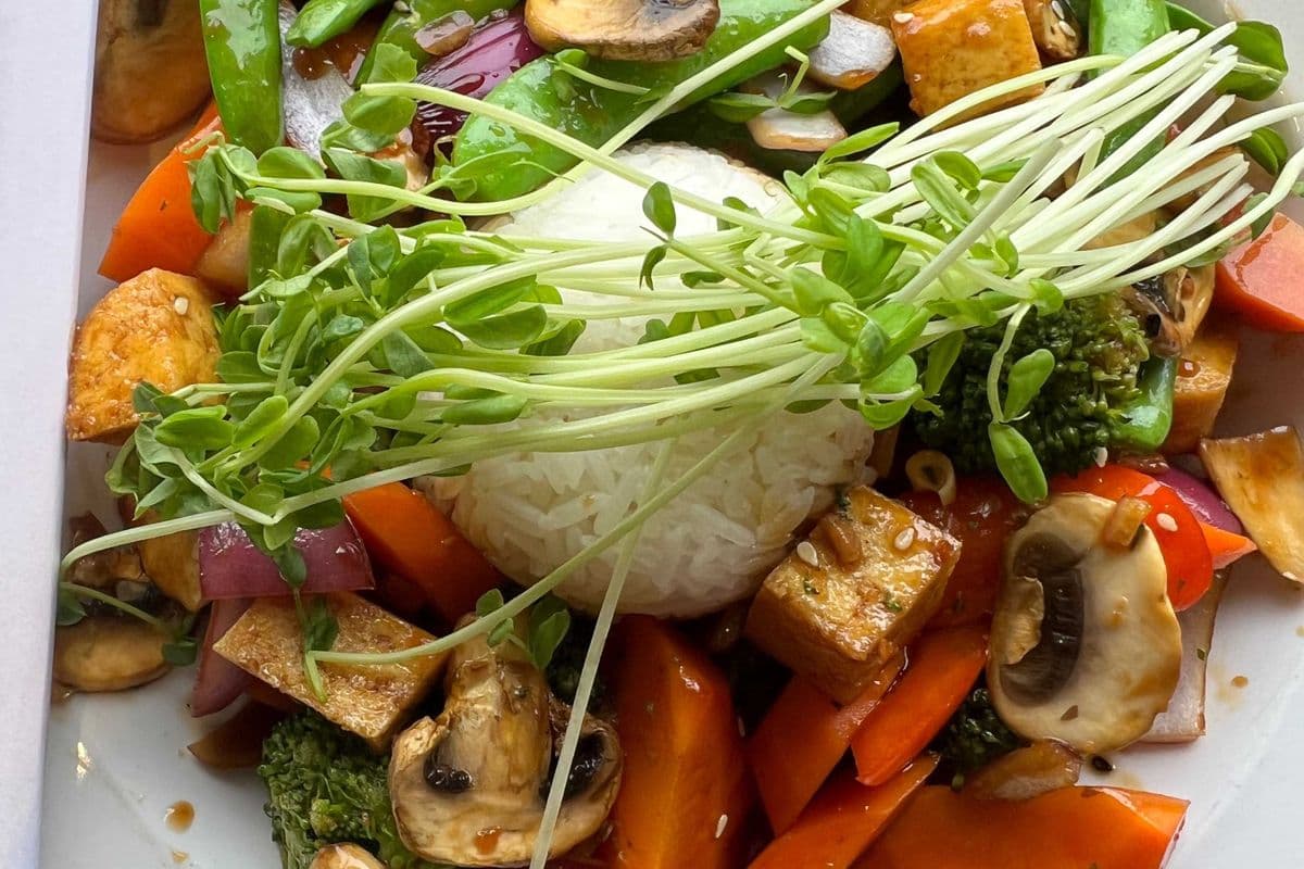 Teriyaki Rice Bowl