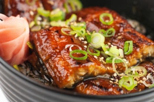 176. Unagi Don