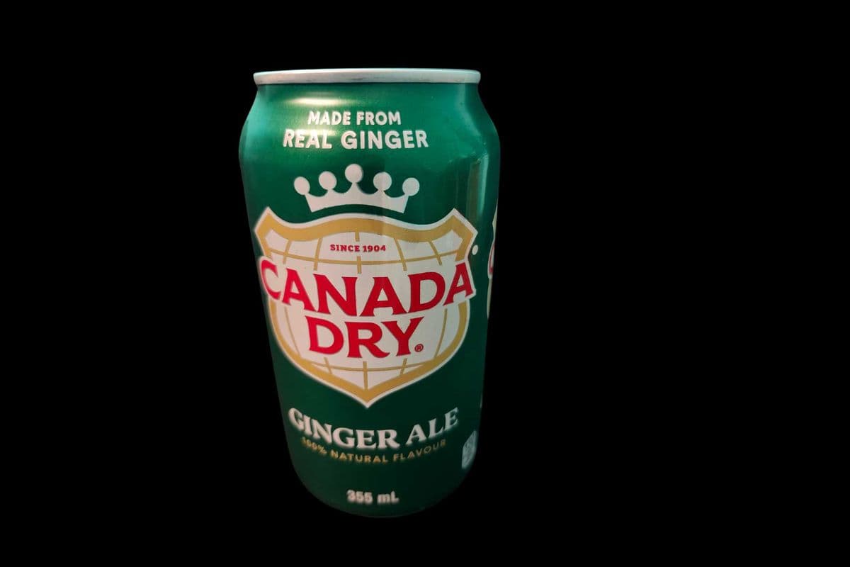 Canada Dry Ginger Ale (355ml Can)