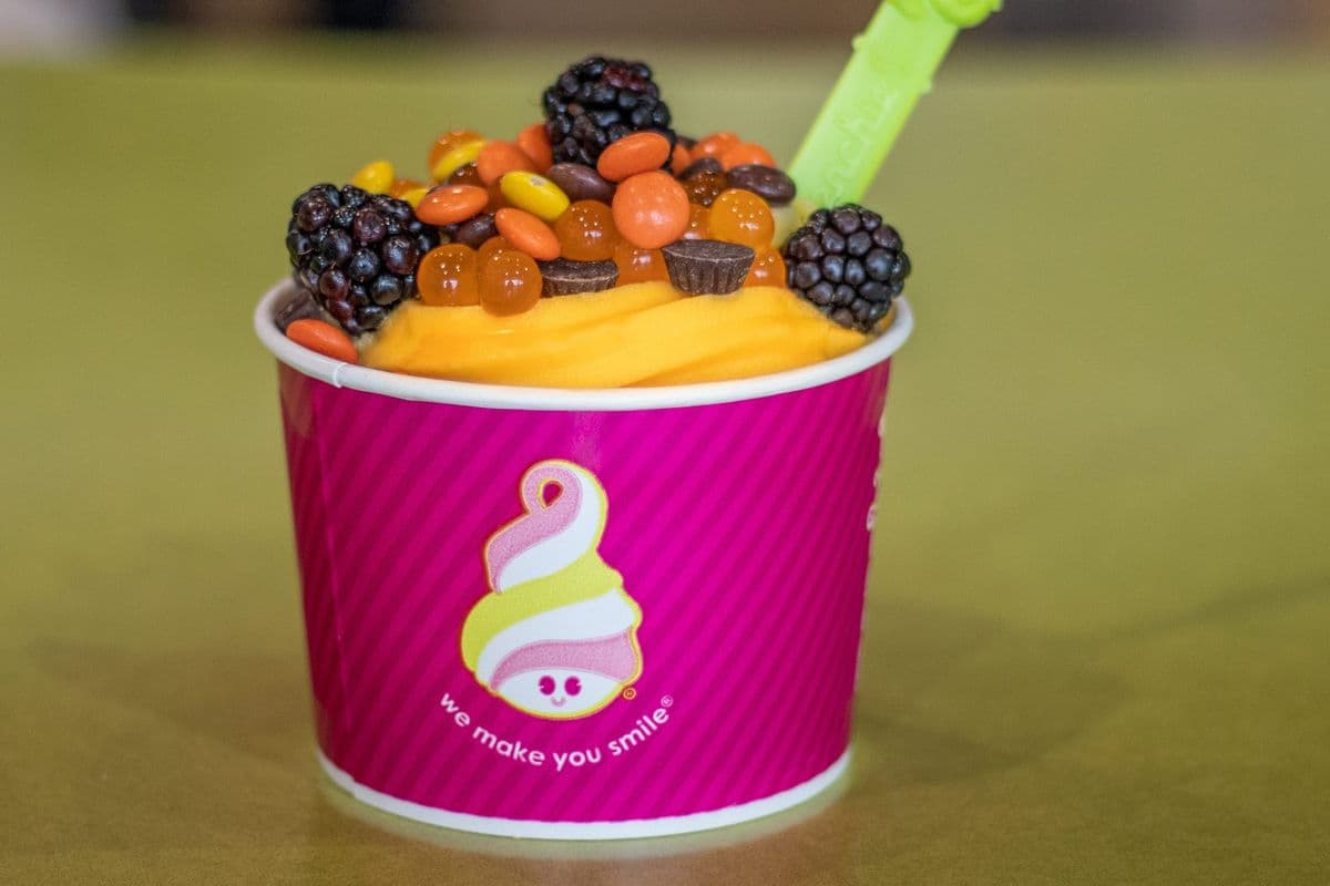 Frozen Yogurt (8oz)