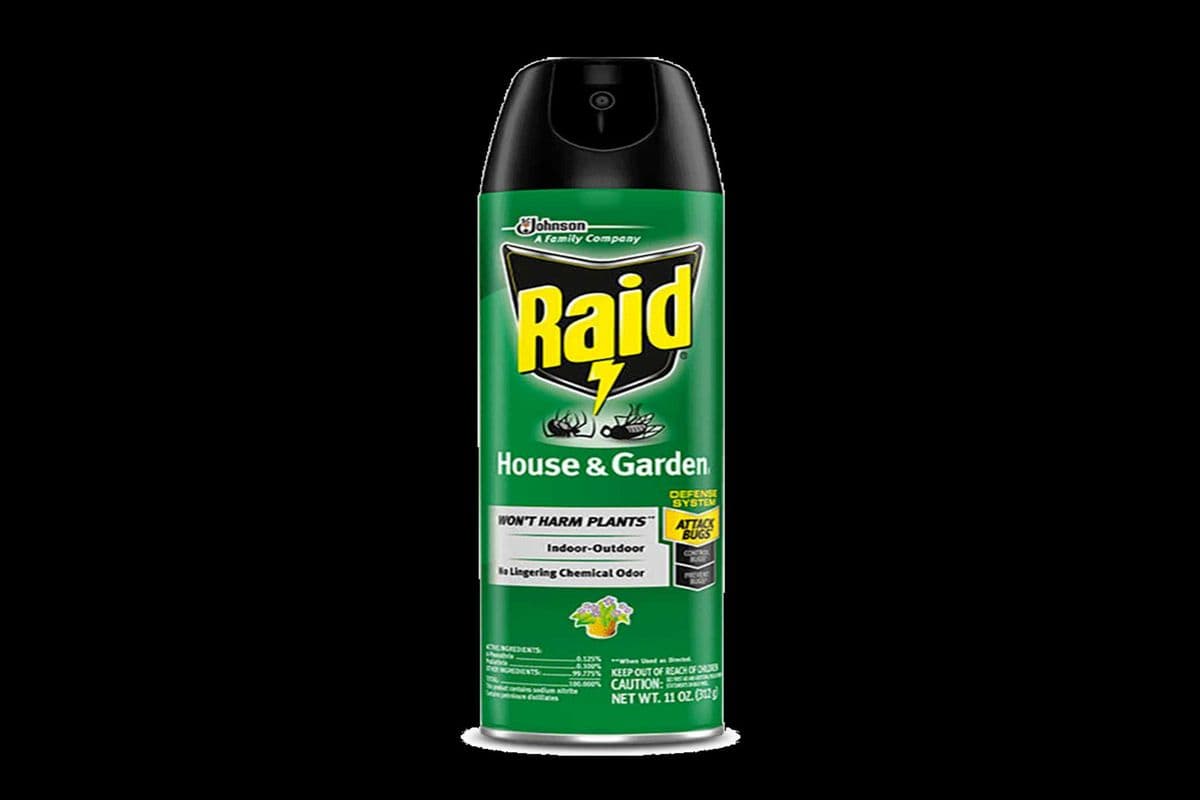 Raid Home Insect Killer (350 g)