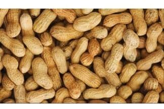Peanuts, In-Shell (5 lb)