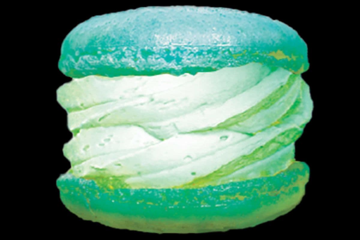 Pandan Toasted Coconut Macaron