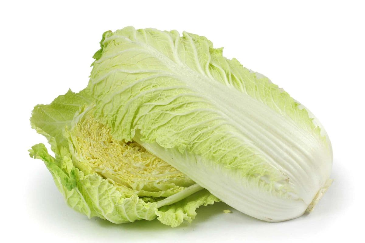 Choy Suey Short Napa (Per lb)