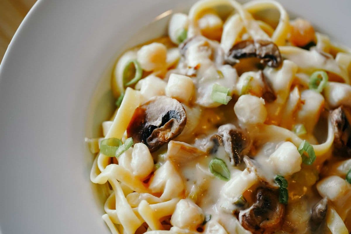 Regular Alfredo Scallop Pasta
