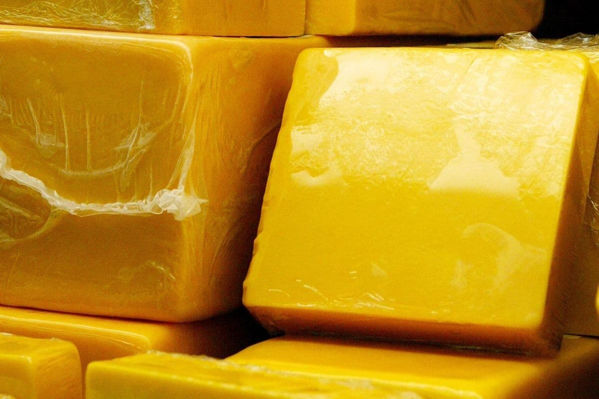 Cheese