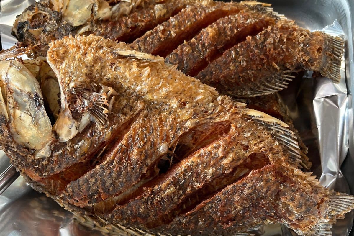 Fried Tilapia