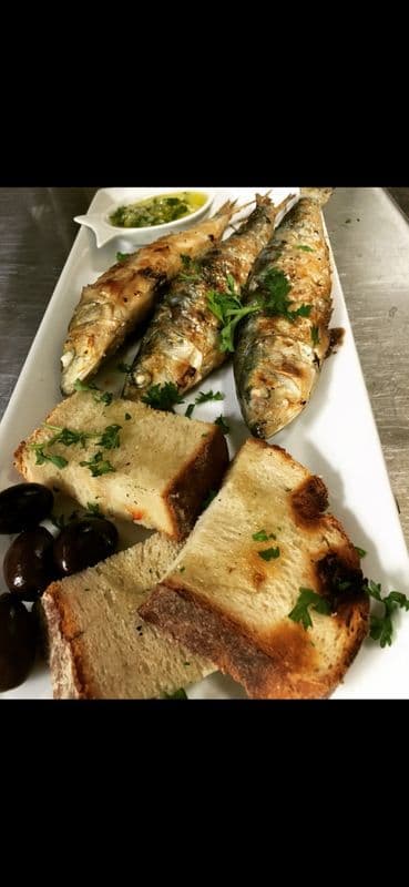 Sardines