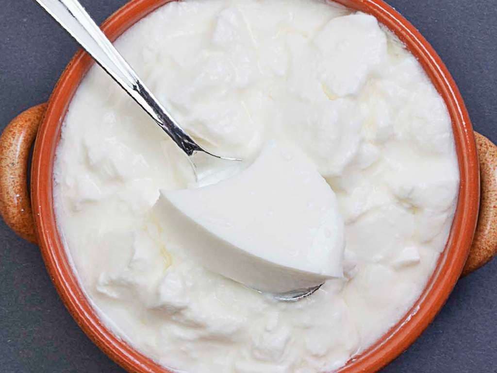 Dahi (Yogurt) Large