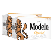 Modelo Especial Import (24 Bottle x 355 mL)