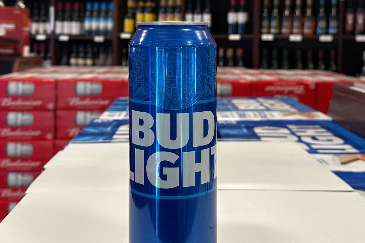 Bud Light 740 ml (1 x 740)