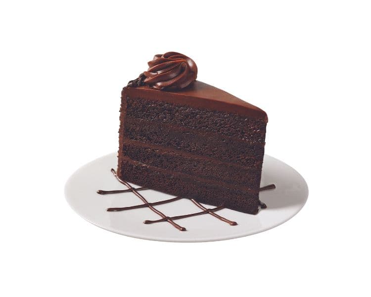 Fudge Cake Slice