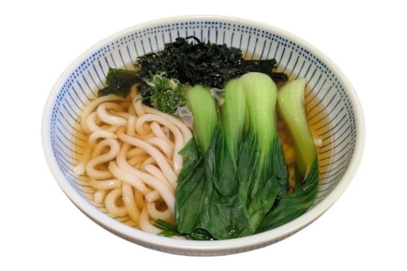 Plain Udon