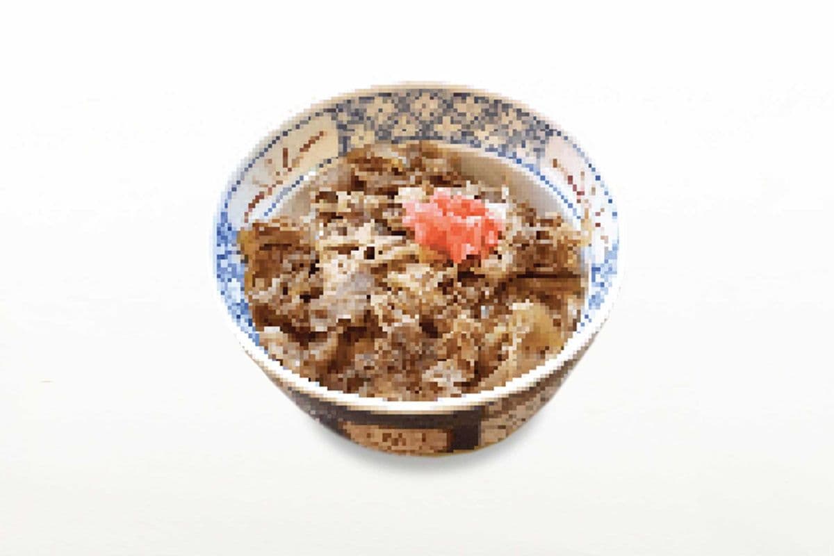 Japanese Beef Rice Bowl (Large)