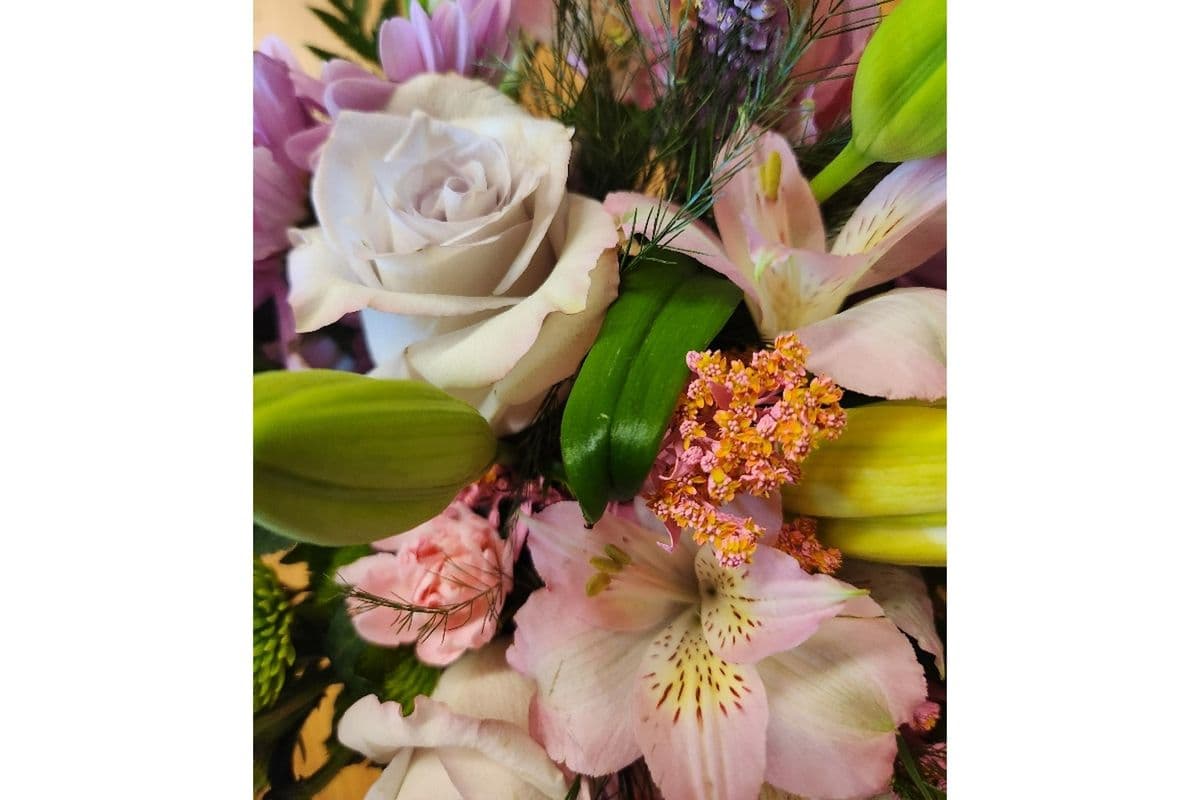 Florist's Choice II