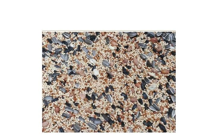 Wild Bird Premium Seed (20 lb)