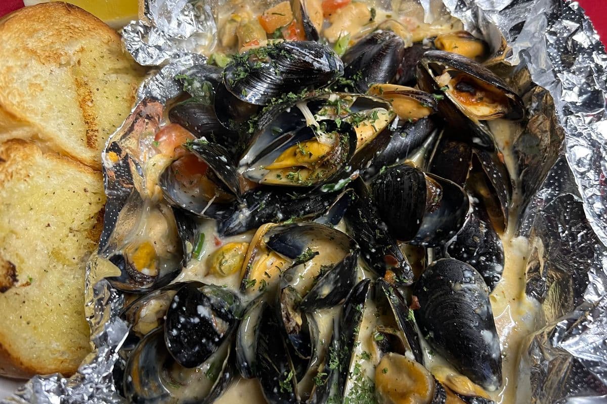 Mussels