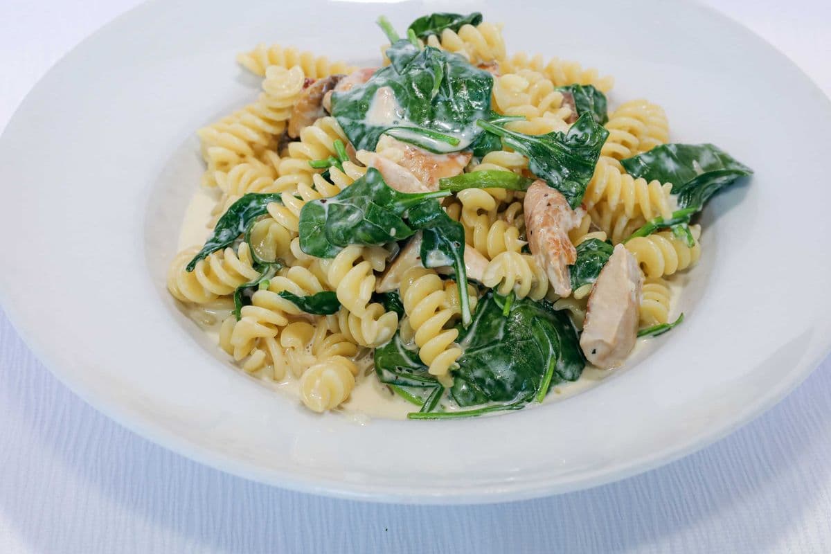 Rotini Con Pollo Alfredo
