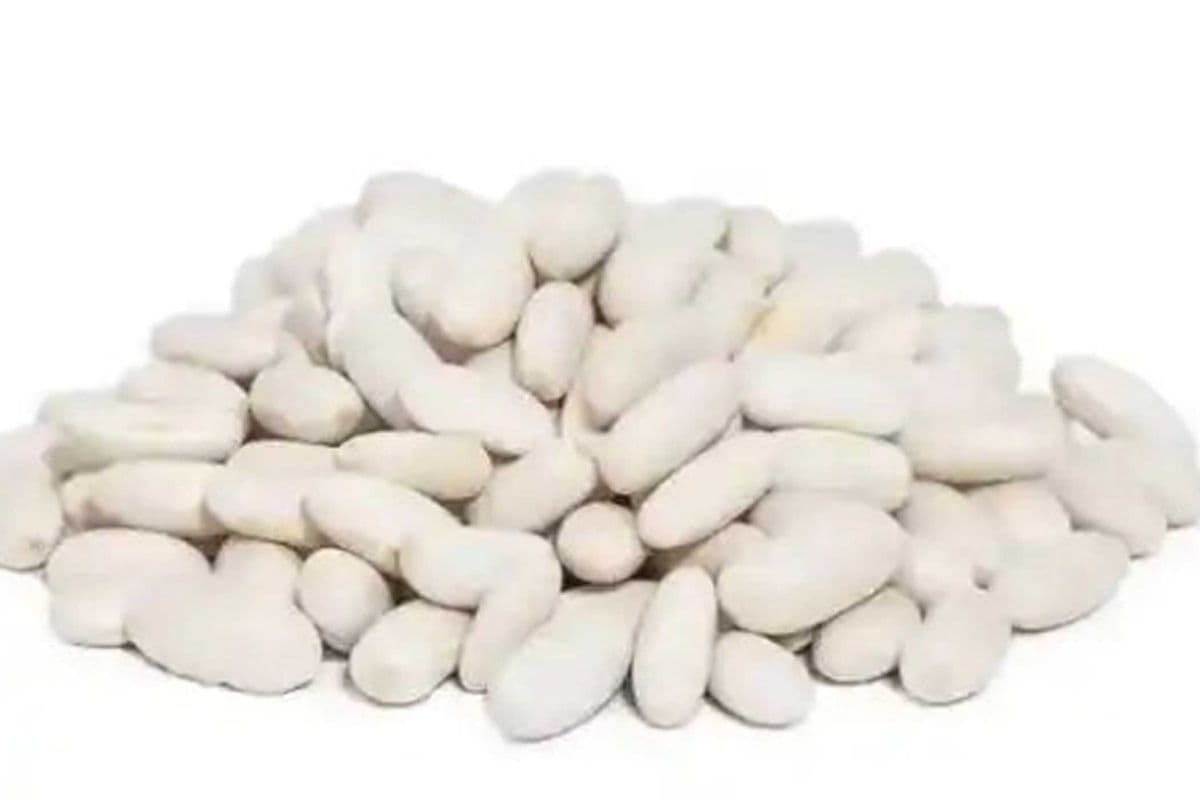 Haricots Rognons Blancs (4 kg)